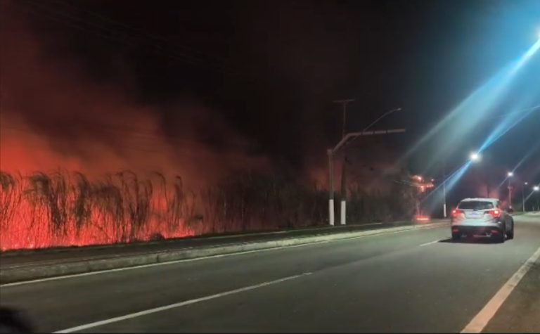 Incêndio atinge área de mata na Praia da Baleia na Serra
