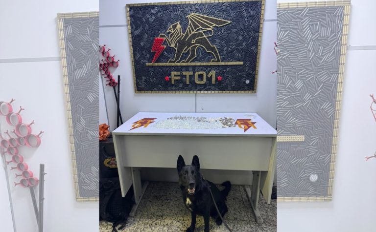 VÍDEO|Polícia encontra 325 unidades de drogas com apoio de cão farejador em Vitória