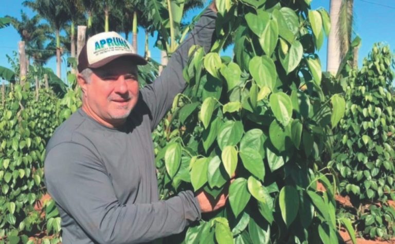 Tecnologia no campo contra os prejuízos do inverno