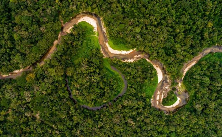 Alertas de desmatamento na amazônia caem ao menor patamar da série histórica