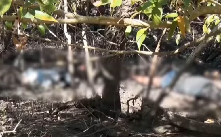 Casal é encontrado morto em área de manguezal em Cariacica
