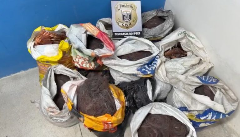Homem é preso com 300 kg de fios de cobre em caminhão na BR-101
