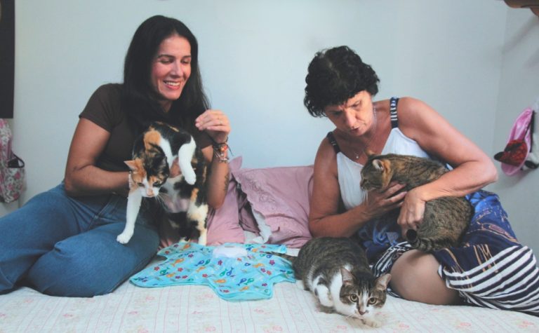 Hospital veterinário público no ES vai ter até dermatologista