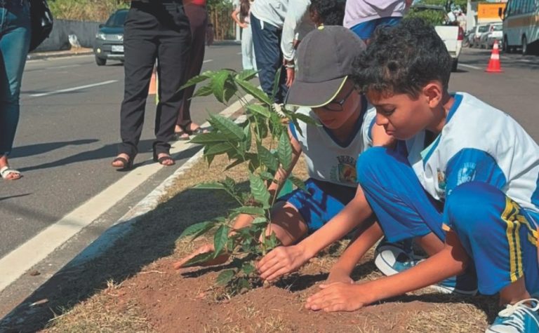 Mais 100 árvores são plantadas nas ruas de Guarapari para enfrentar o calor