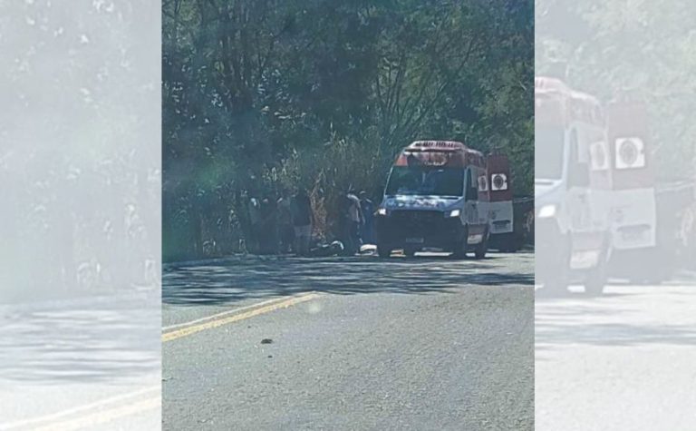 Motociclista de 18 anos morre em acidente na BR-393 no Sul do ES