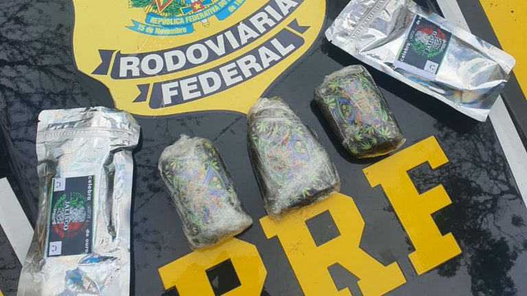 PRF apreende haxixe e lança-perfume em carro com bebê de 6 meses na BR-101