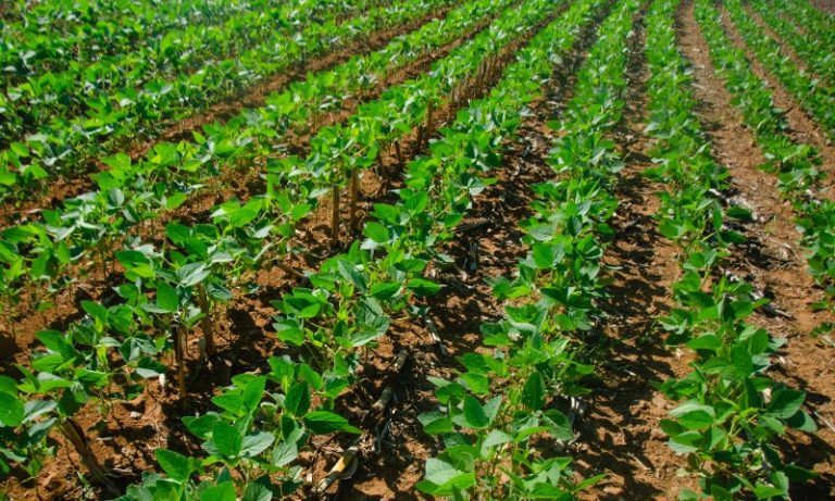 Projeto estuda novas linhas de financiamento para o agro no ES