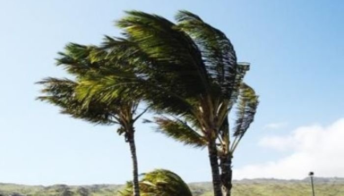 Ventos costeiros colocam cidades do litoral do ES em alerta